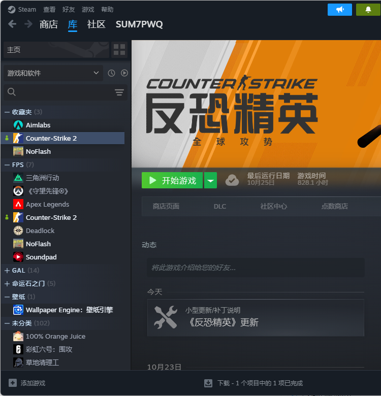 Personal Steam library screenshot with Counter-Strike 2 selected
